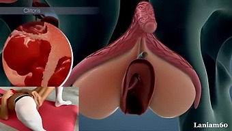 The Science Of Female Orgasm: A Biological Exploration
