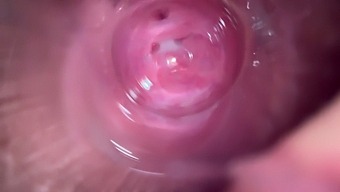 Close-Up View Of A Tight Teen'S Wet And Creamy Orgasm